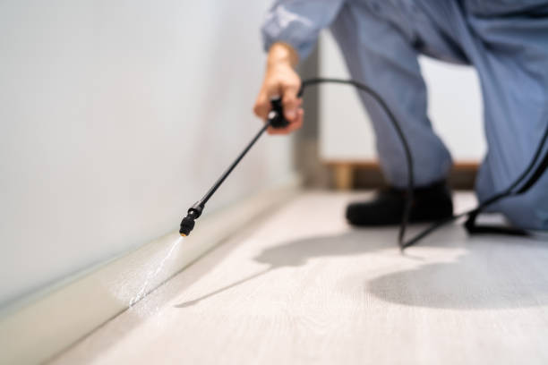 Licensed Mosquito Control service in Fort Mill, SC - Show Me Pest Control