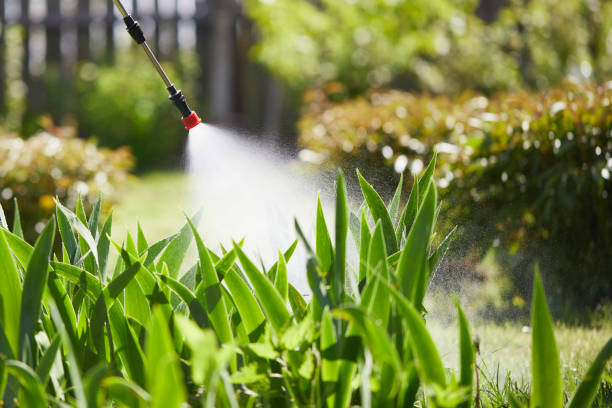 24/7 Emergency Mosquito Control experts in Fort Mill, SC
