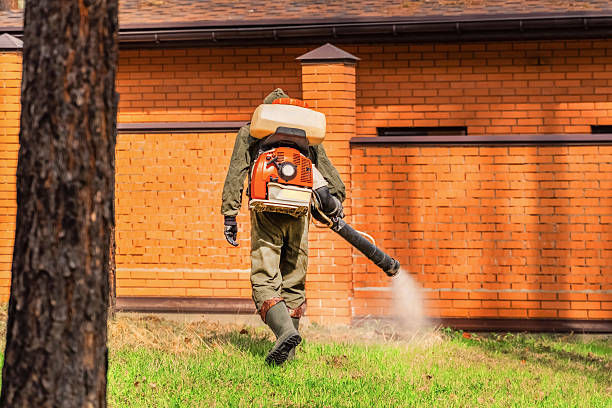Top rated local Mosquito Control specialists in Fort Mill, SC